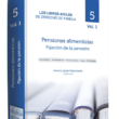 Pensiones alimenticias vol. 1: Fijación de la pensión - Imagen 2